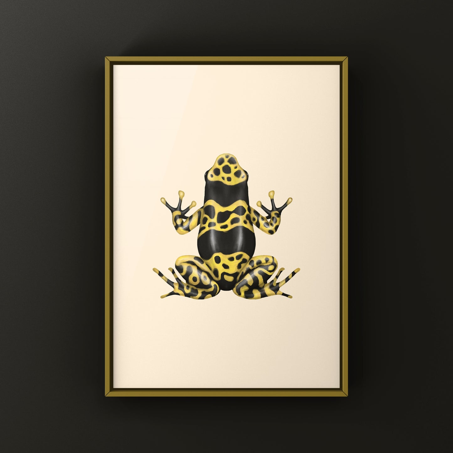 Nominant Yellow Banded Poison Dart Frog (Dendrobates leucomelas) Photographic Art Print from The Silk Ranch