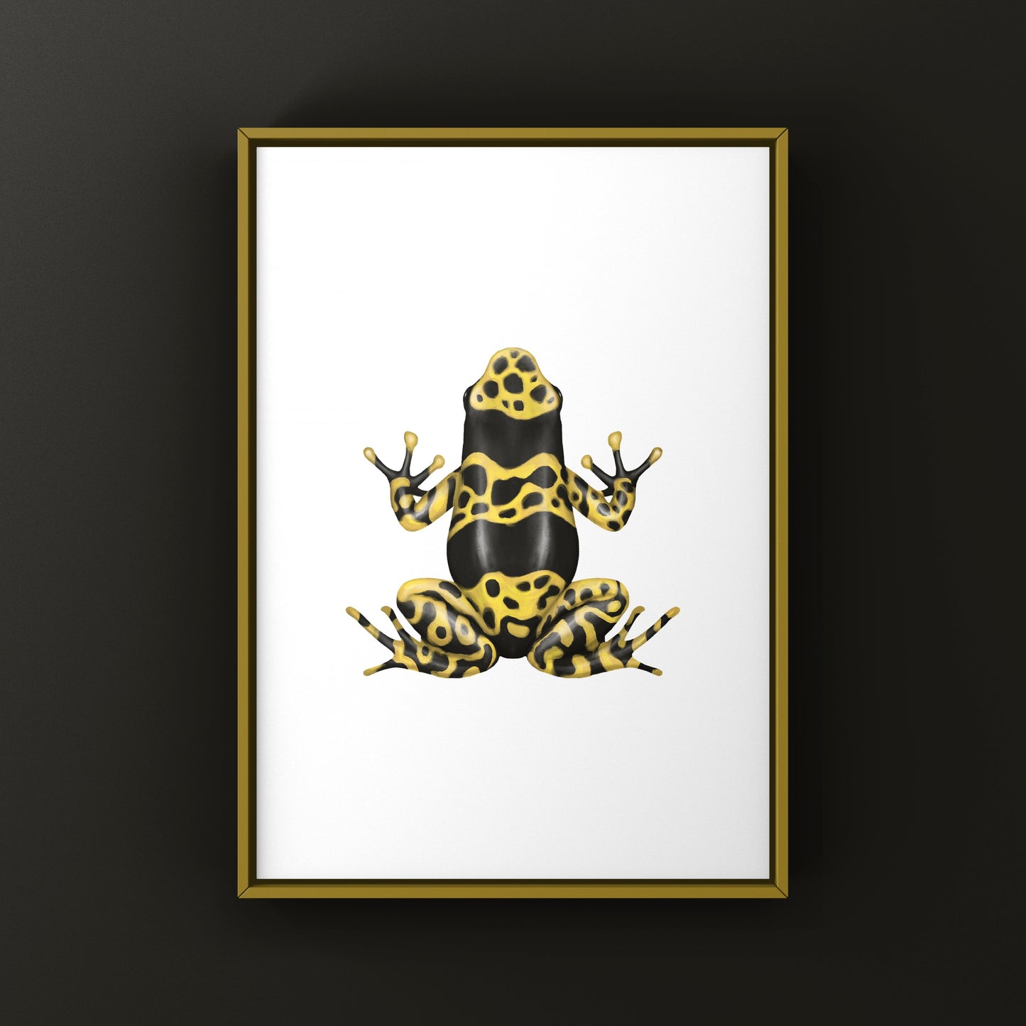 Nominant Yellow Banded Poison Dart Frog (Dendrobates leucomelas) Photographic Art Print from The Silk Ranch