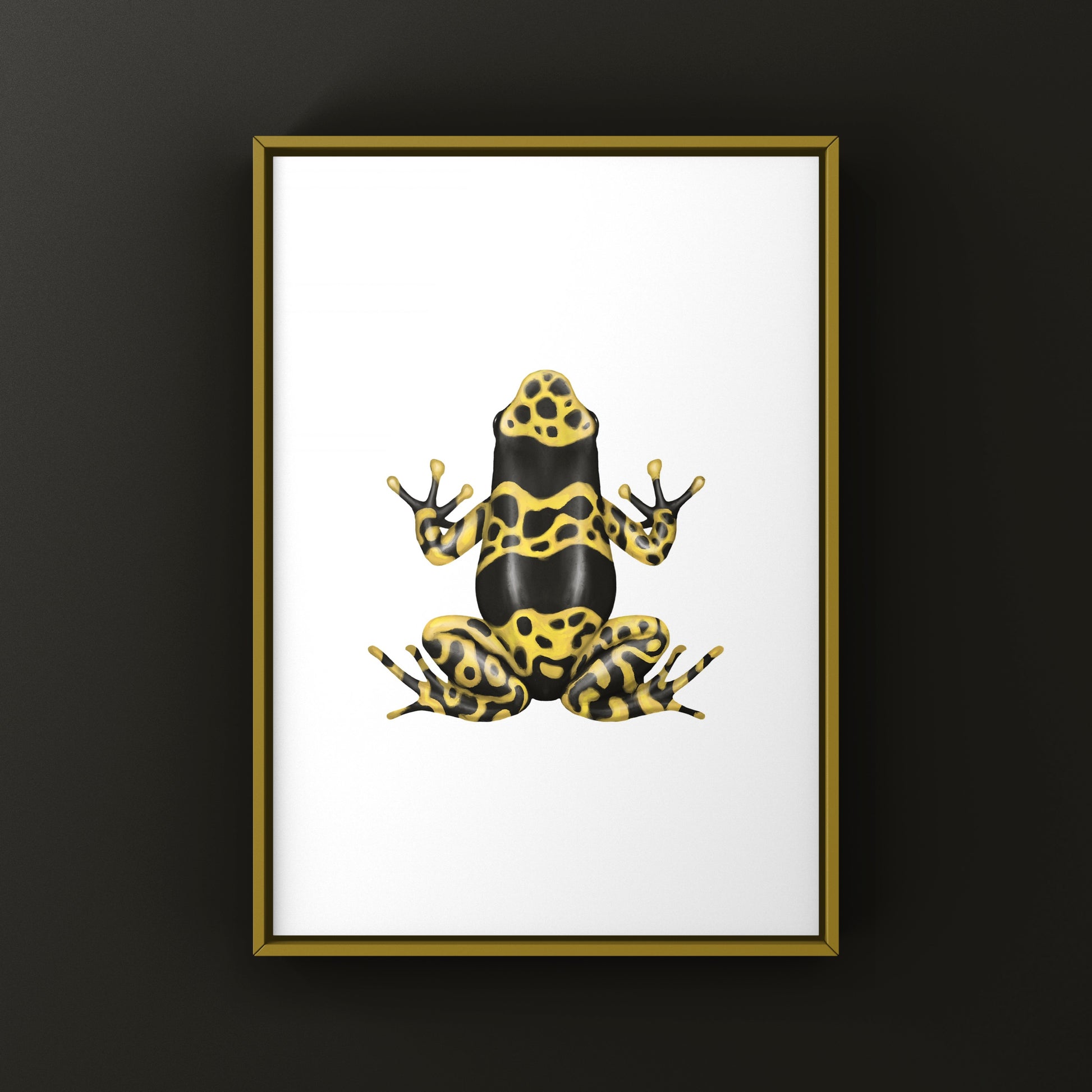 Nominant Yellow Banded Poison Dart Frog (Dendrobates leucomelas) Photographic Art Print from The Silk Ranch