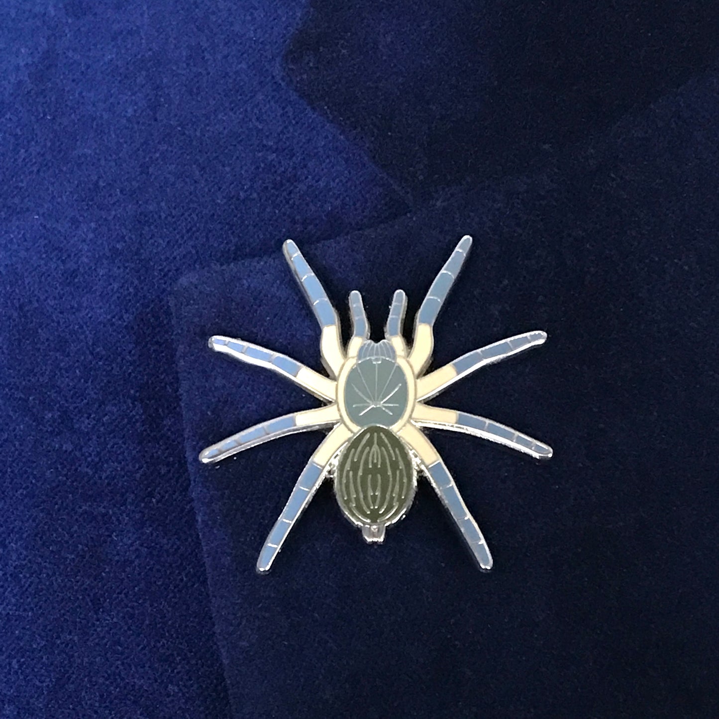 1.5 Inch Enamel Pin - Monocentropus Balfouri from The Silk Ranch / The Morph Archive