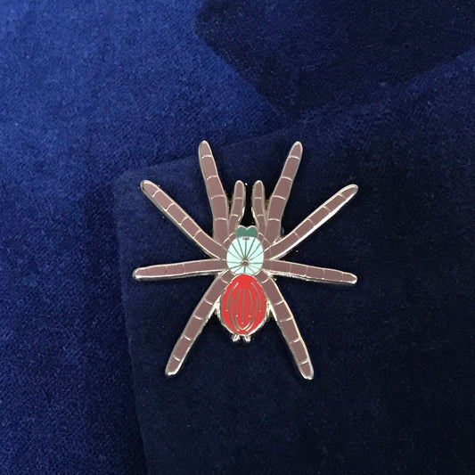 1.5 Inch Enamel Pin - Caribena versicolor