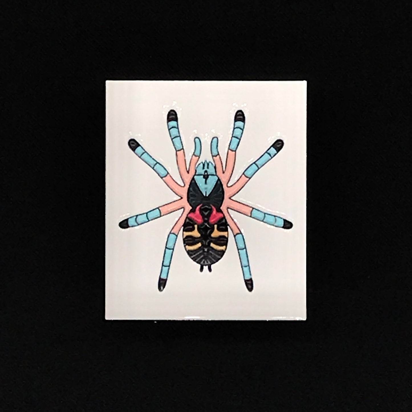 1.5 Inch Enamel Pin - Typhochlaena seladonia from The Silk Ranch / The Morph Archive