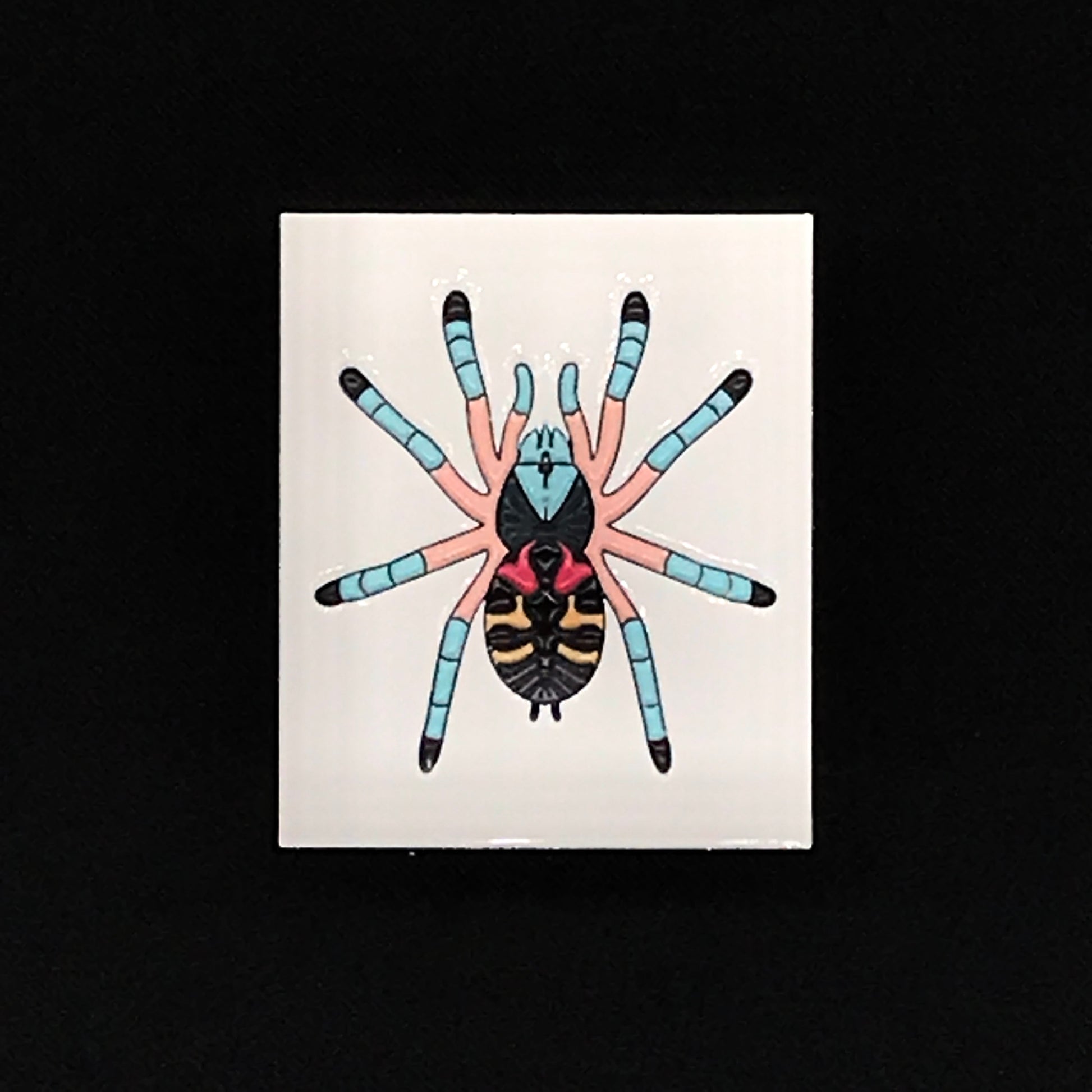 1.5 Inch Enamel Pin - Typhochlaena seladonia from The Silk Ranch / The Morph Archive