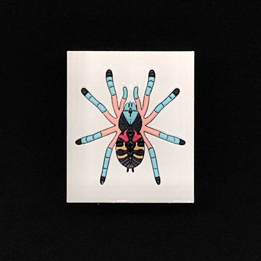 1.5 Inch Enamel Pin - Typhochlaena seladonia