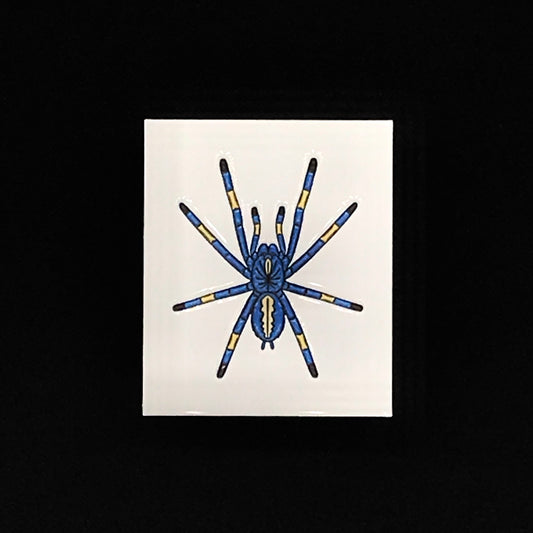 1.5 Inch Enamel Pin - Poecilotheria metallica