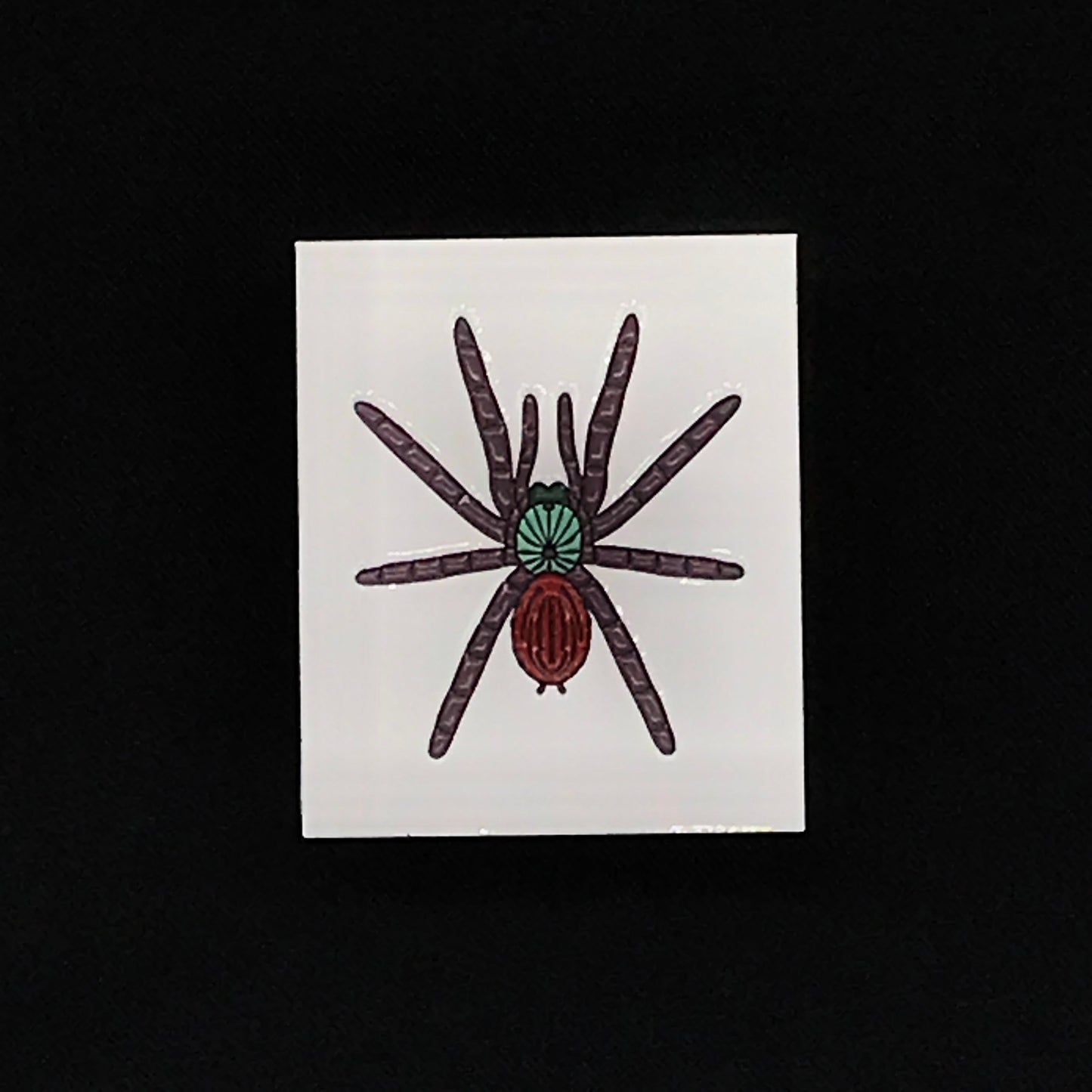 1.5 Inch Enamel Pin - Caribena versicolor from The Silk Ranch / The Morph Archive