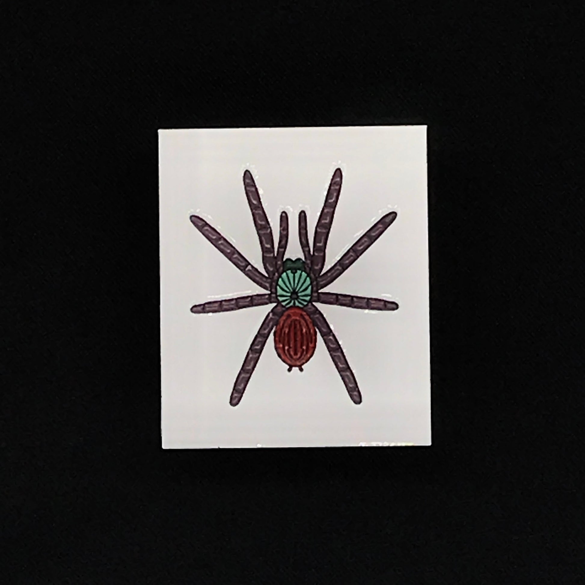 1.5 Inch Enamel Pin - Caribena versicolor from The Silk Ranch / The Morph Archive