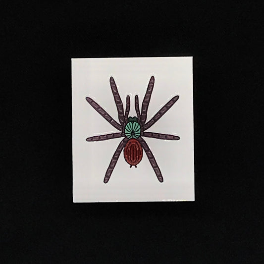 1.5 Inch Enamel Pin - Caribena versicolor