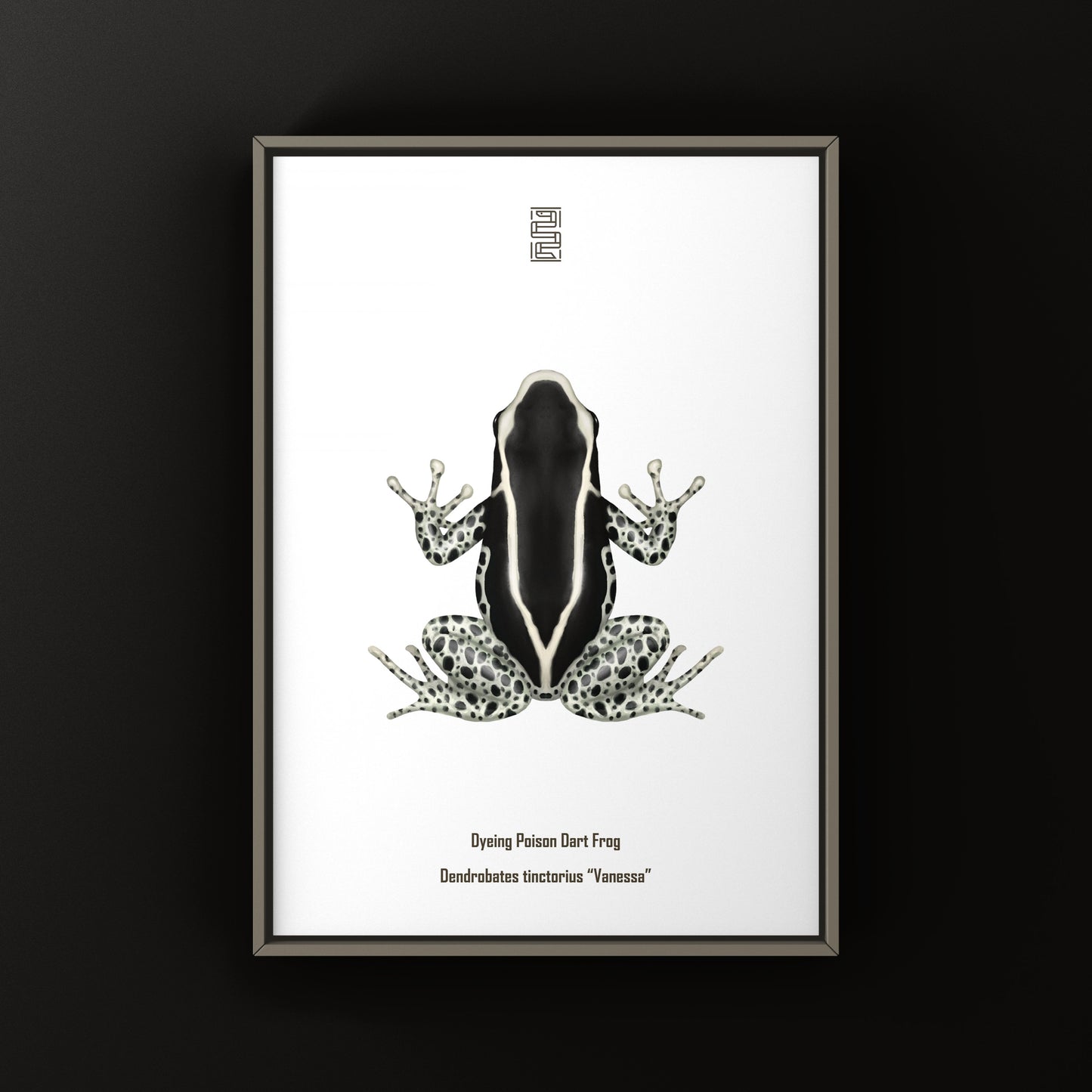Vanessa Dyeing Poison Dart Frog (Dendrobates tinctorius) Art Print from The Silk Ranch
