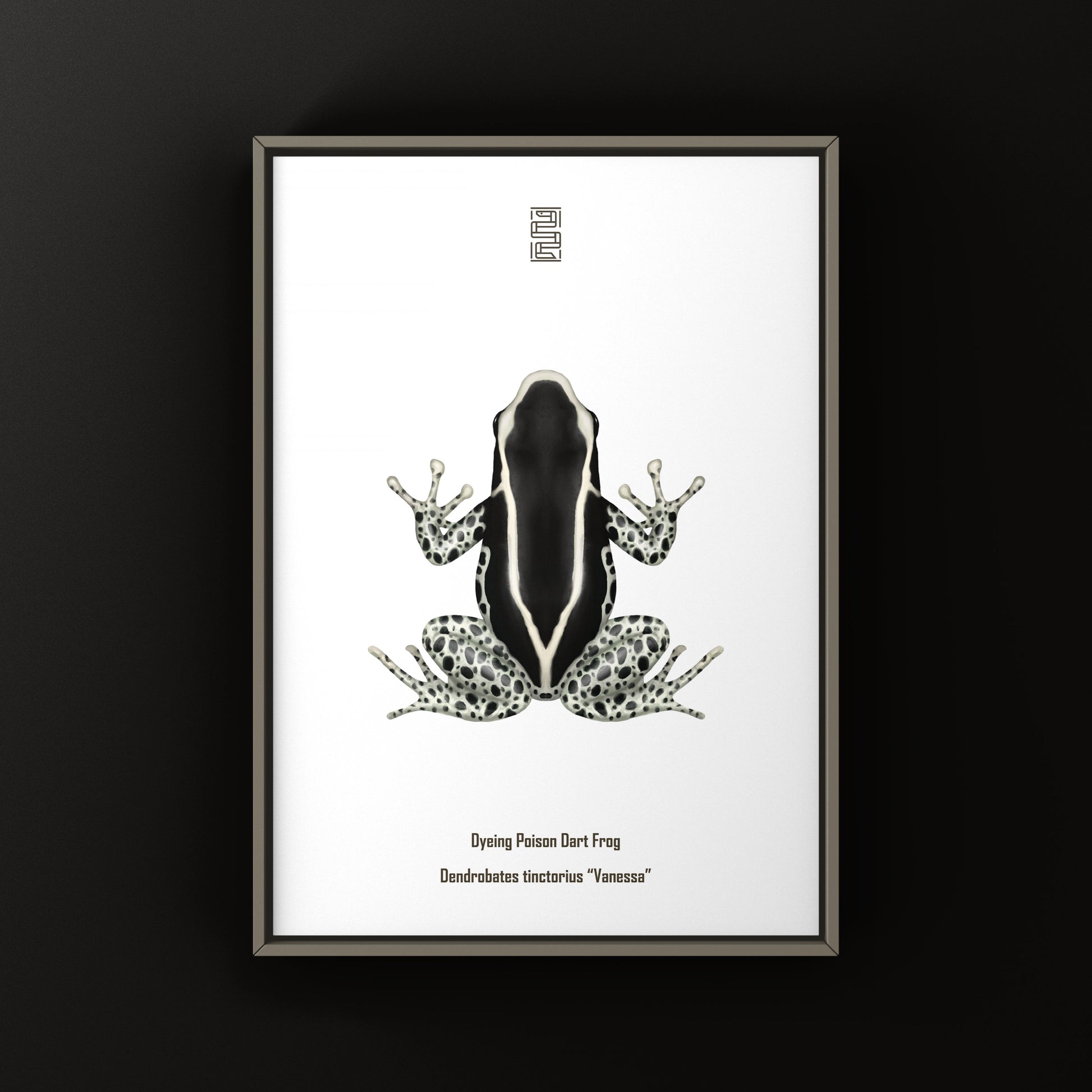 Vanessa Dyeing Poison Dart Frog (Dendrobates tinctorius) Art Print from The Silk Ranch