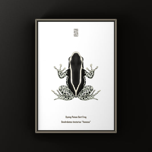 Vanessa Dyeing Poison Dart Frog (Dendrobates tinctorius) Art Print from The Silk Ranch