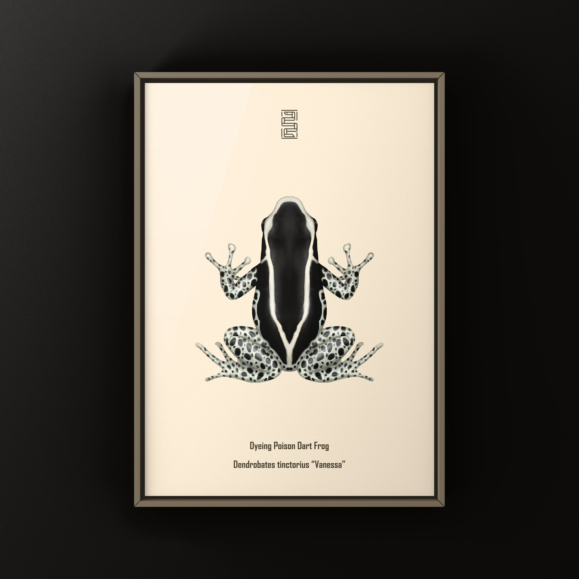 Vanessa Dyeing Poison Dart Frog (Dendrobates tinctorius) Art Print from The Silk Ranch