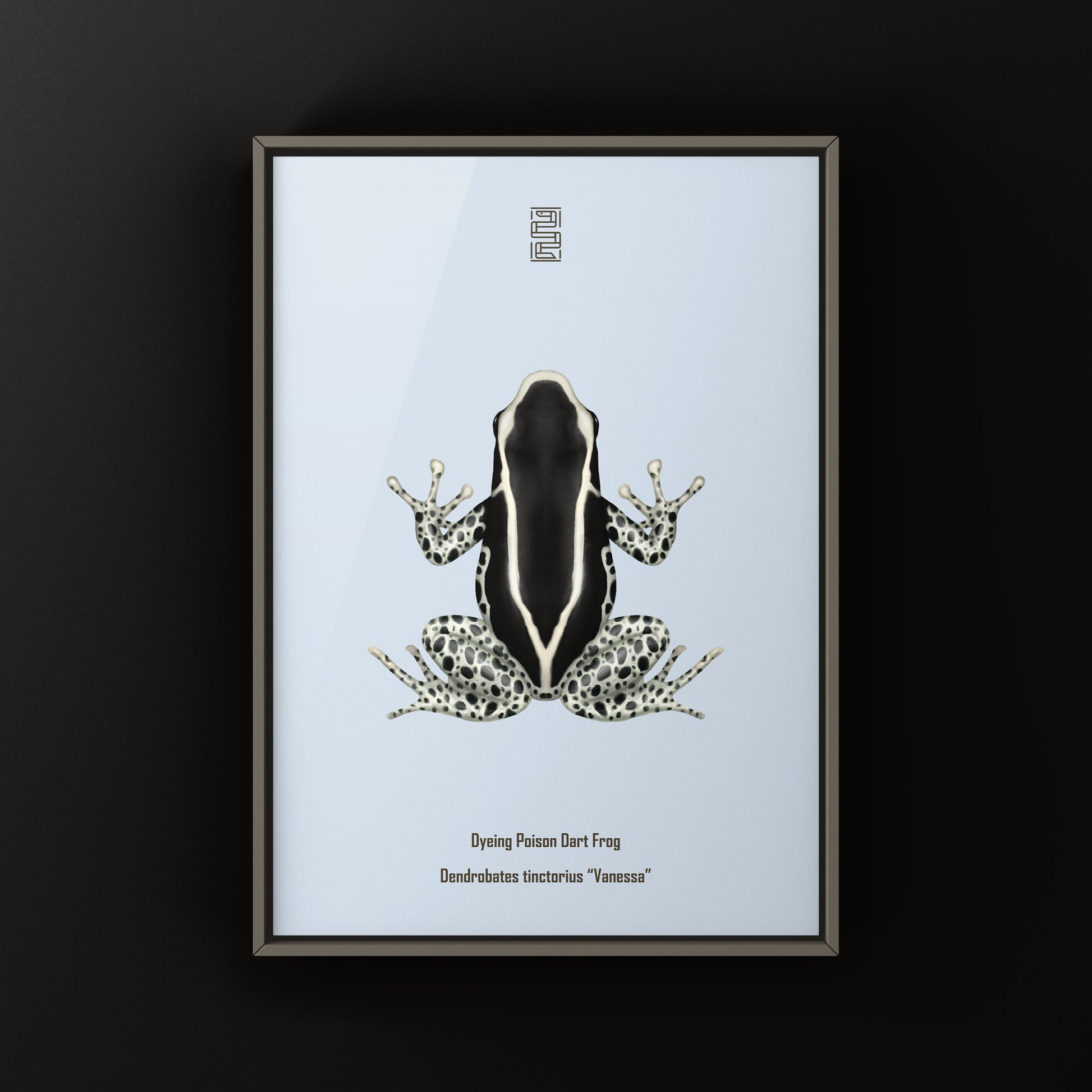 Vanessa Dyeing Poison Dart Frog (Dendrobates tinctorius) Art Print from The Silk Ranch