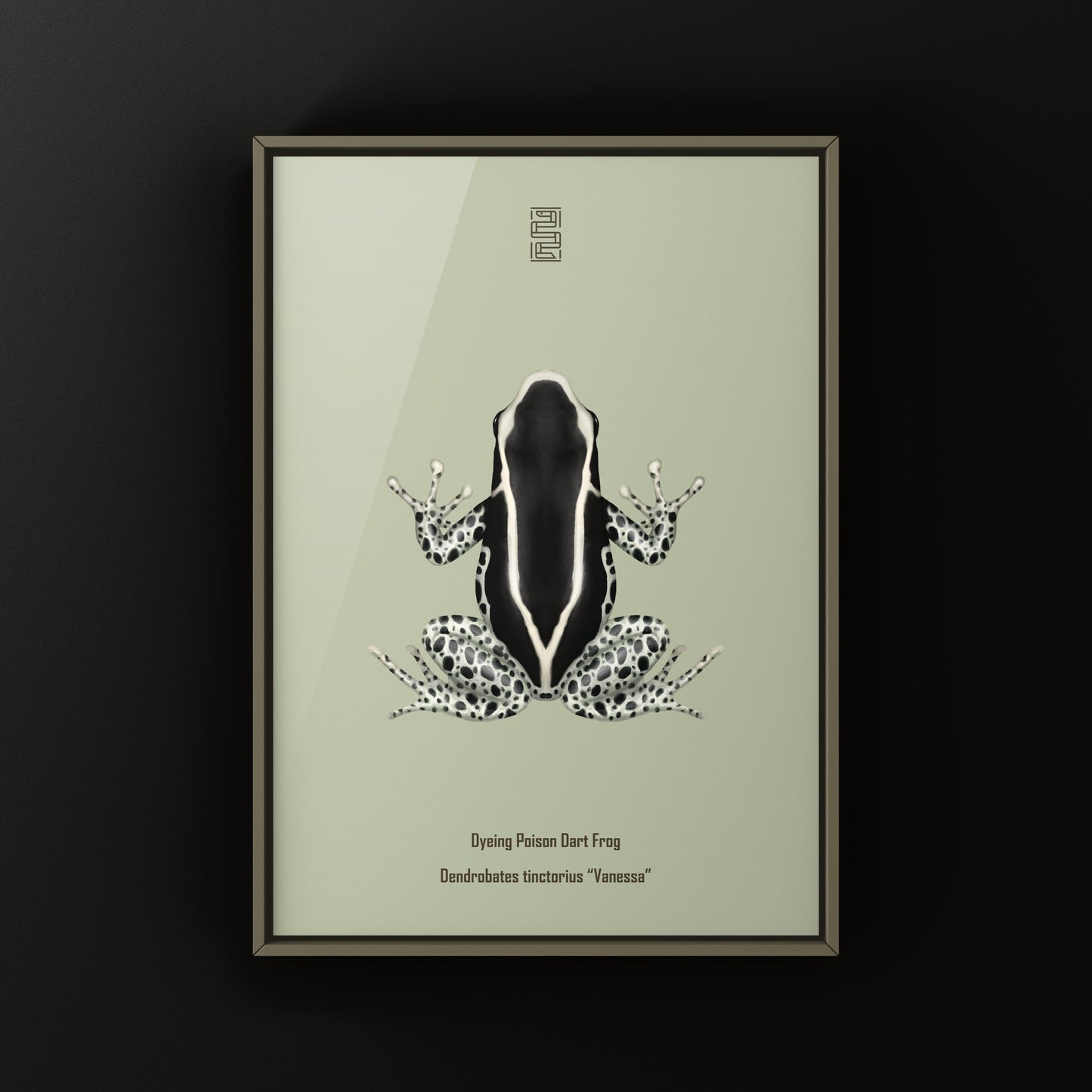 Vanessa Dyeing Poison Dart Frog (Dendrobates tinctorius) Art Print from The Silk Ranch