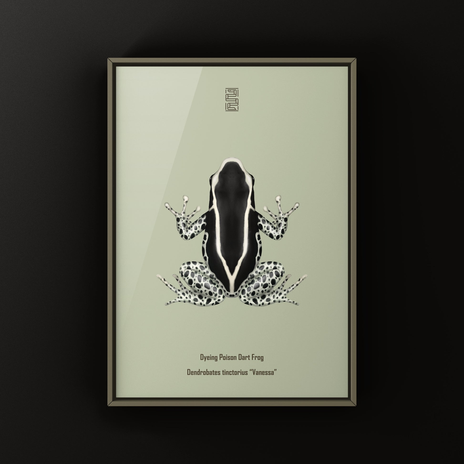 Vanessa Dyeing Poison Dart Frog (Dendrobates tinctorius) Art Print from The Silk Ranch