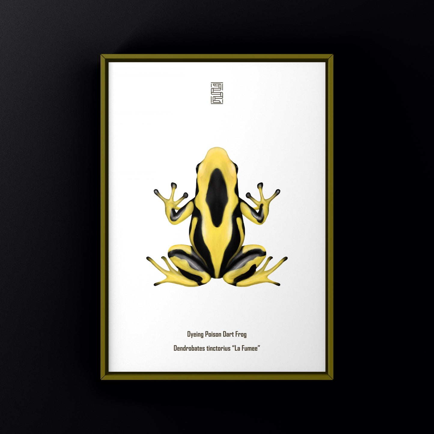 La Fumee Dyeing Poison Dart Frog (Dendrobates tinctorius) Art Print from The Silk Ranch