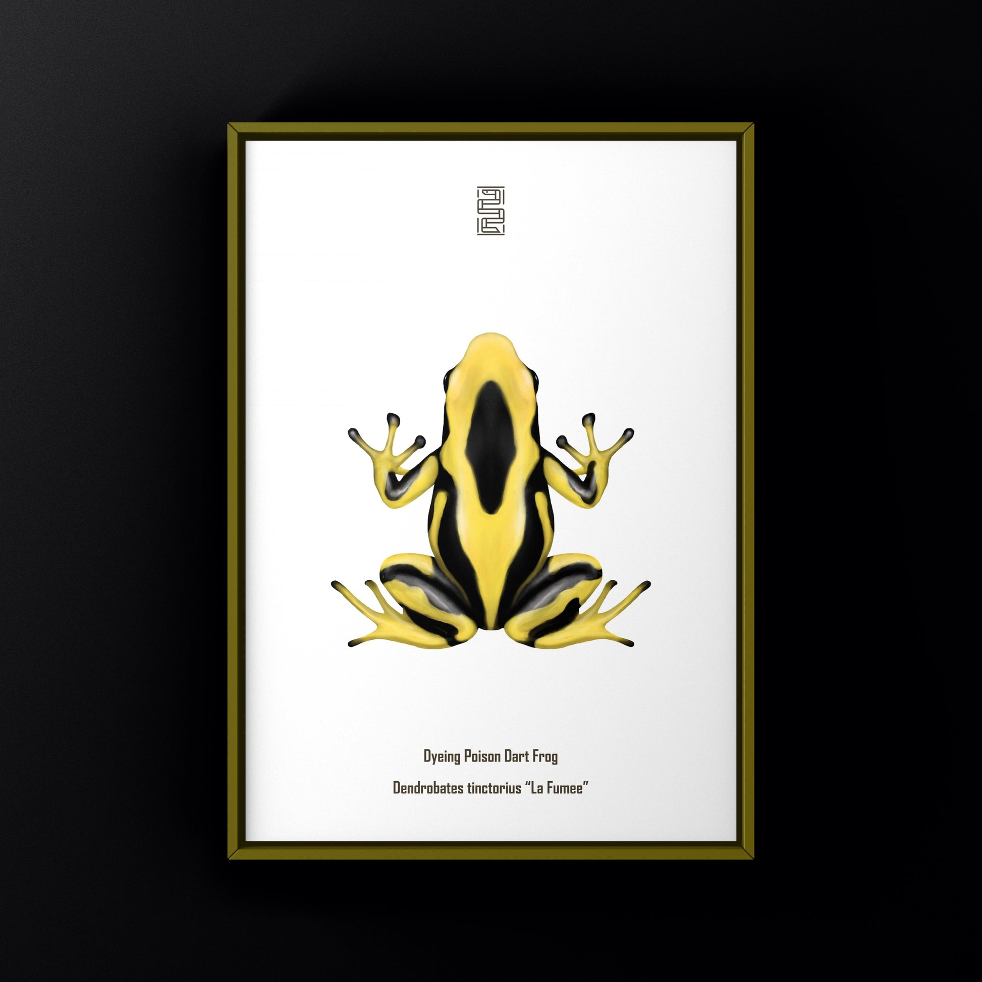 La Fumee Dyeing Poison Dart Frog (Dendrobates tinctorius) Art Print from The Silk Ranch