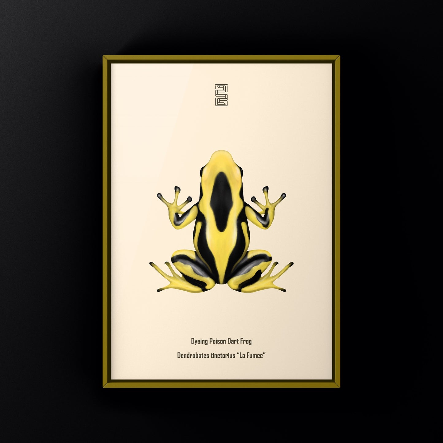 La Fumee Dyeing Poison Dart Frog (Dendrobates tinctorius) Art Print from The Silk Ranch