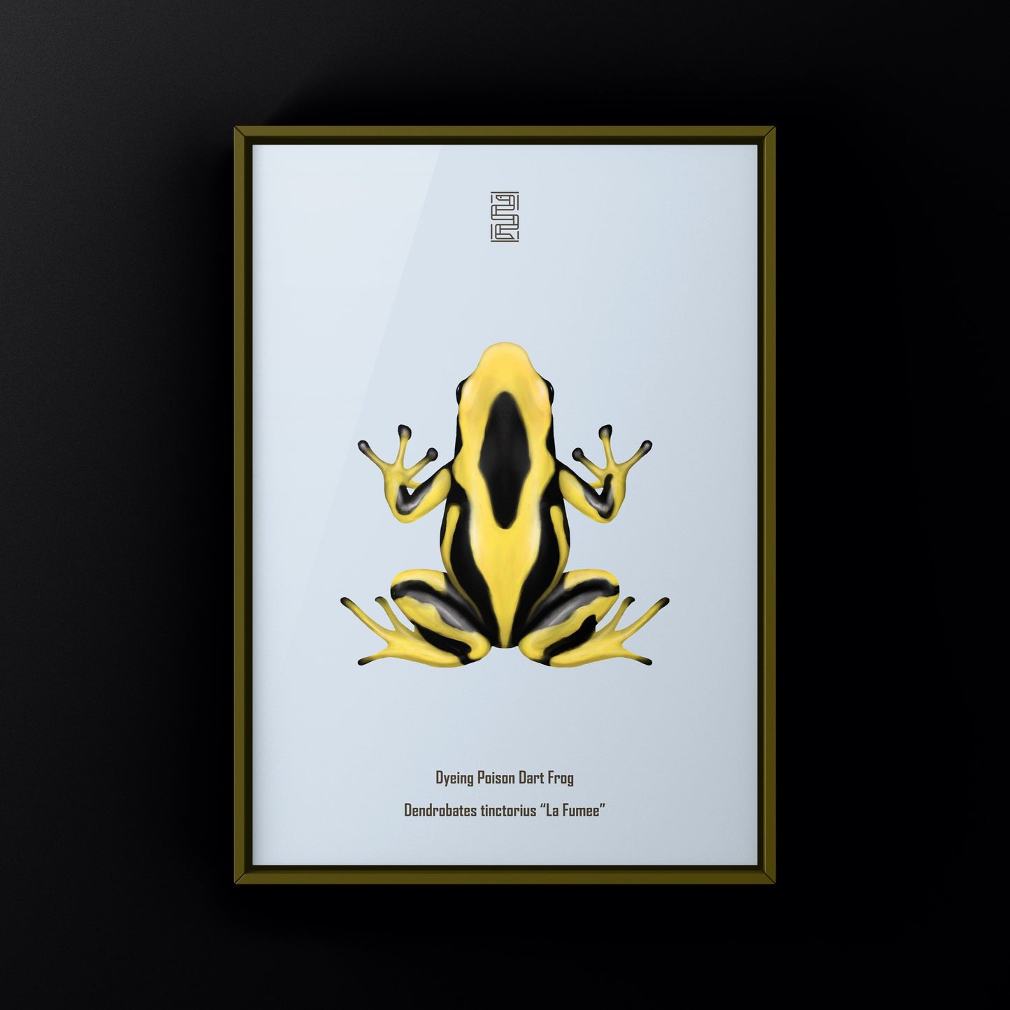 La Fumee Dyeing Poison Dart Frog (Dendrobates tinctorius) Art Print from The Silk Ranch
