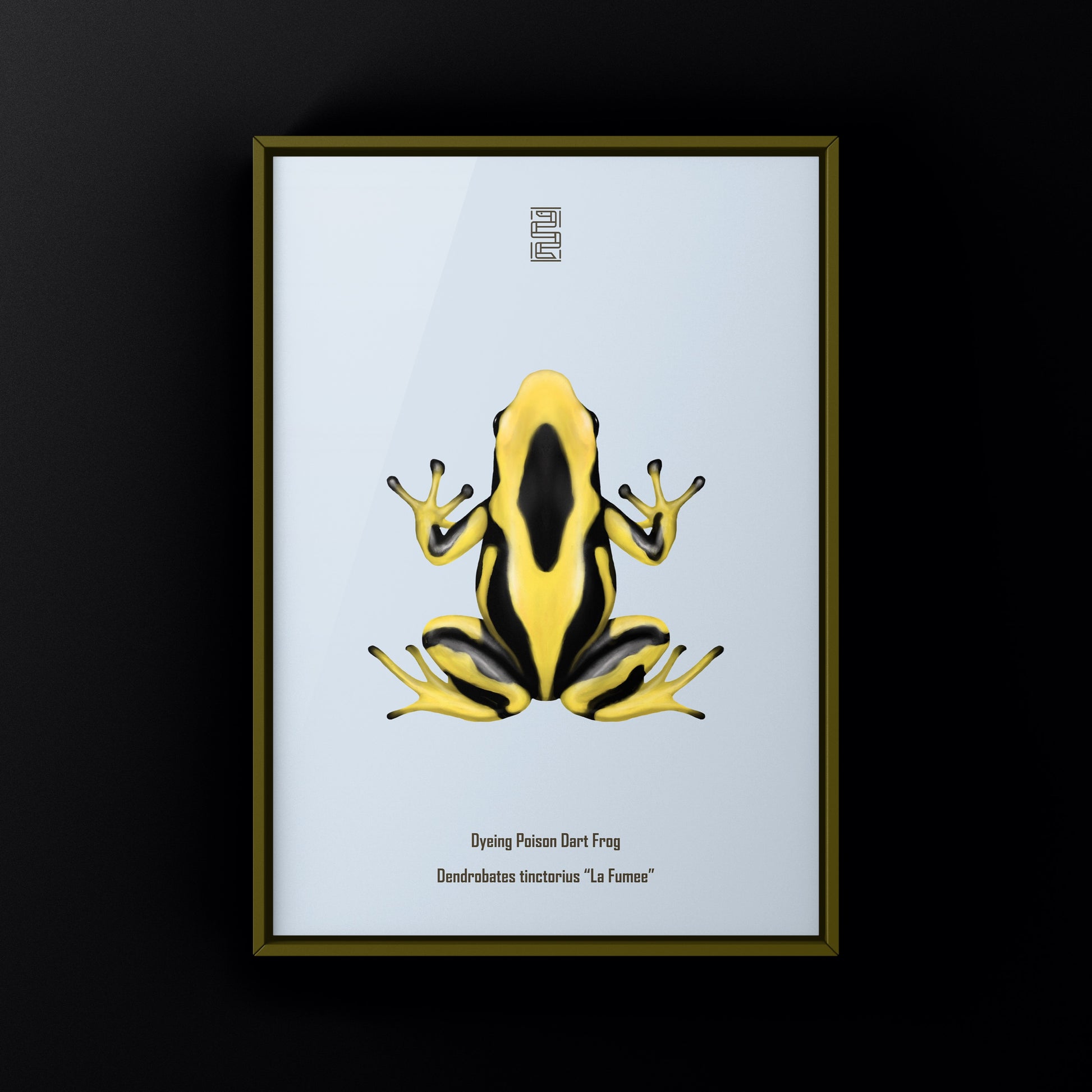 La Fumee Dyeing Poison Dart Frog (Dendrobates tinctorius) Art Print from The Silk Ranch
