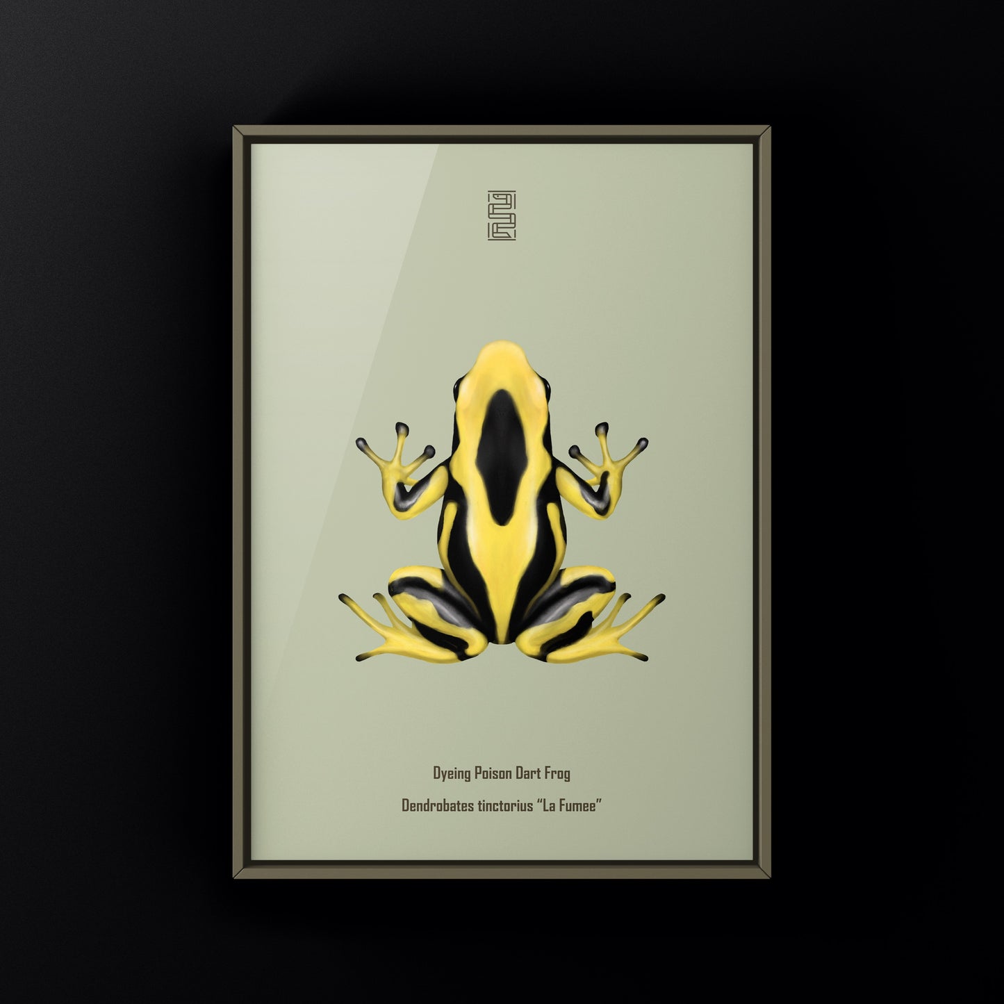 La Fumee Dyeing Poison Dart Frog (Dendrobates tinctorius) Art Print from The Silk Ranch