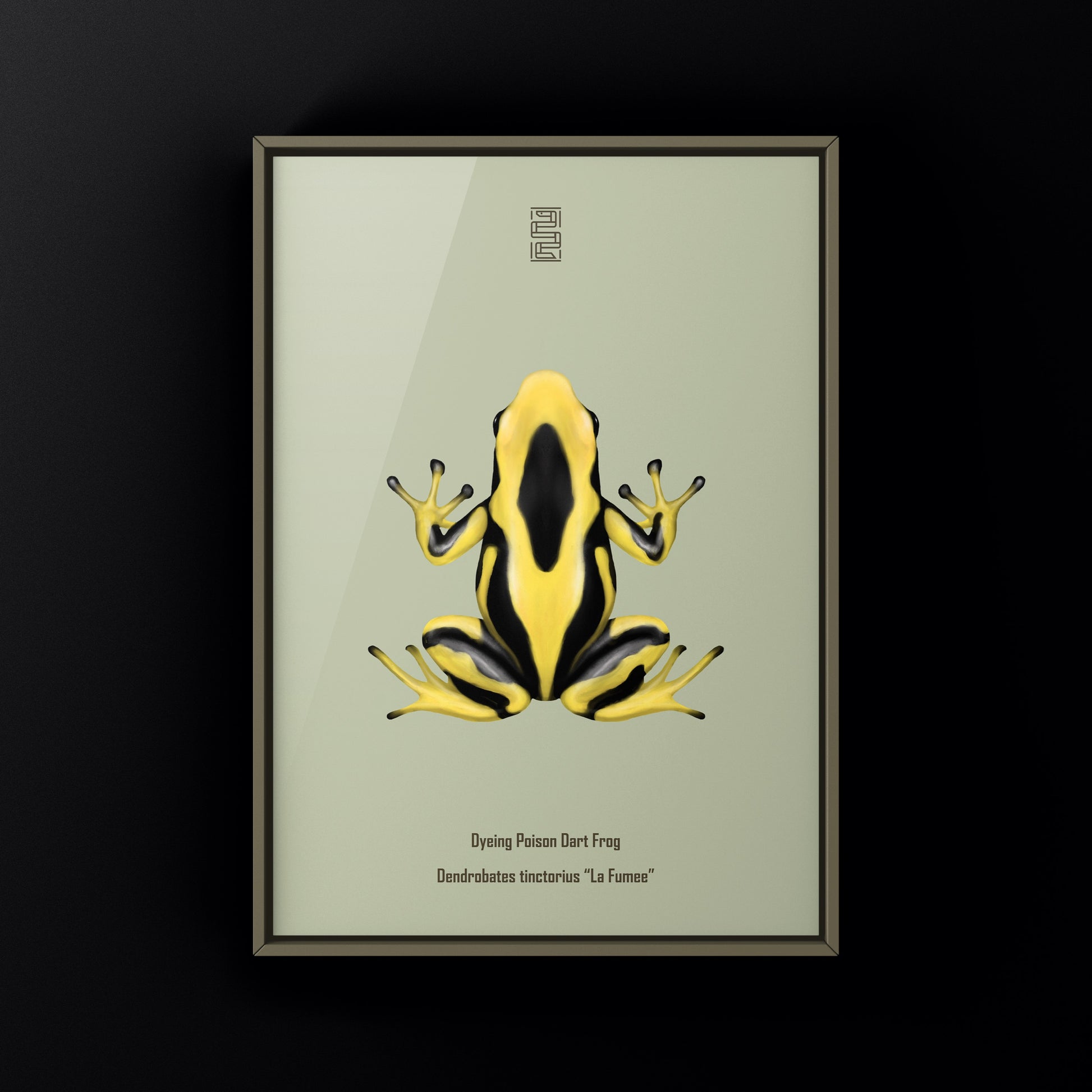 La Fumee Dyeing Poison Dart Frog (Dendrobates tinctorius) Art Print from The Silk Ranch