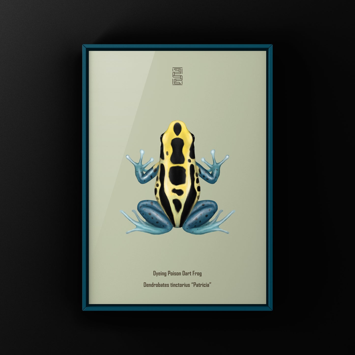 Patricia Dyeing Poison Dart Frog (Dendrobates tinctorius) Art Print from The Silk Ranch
