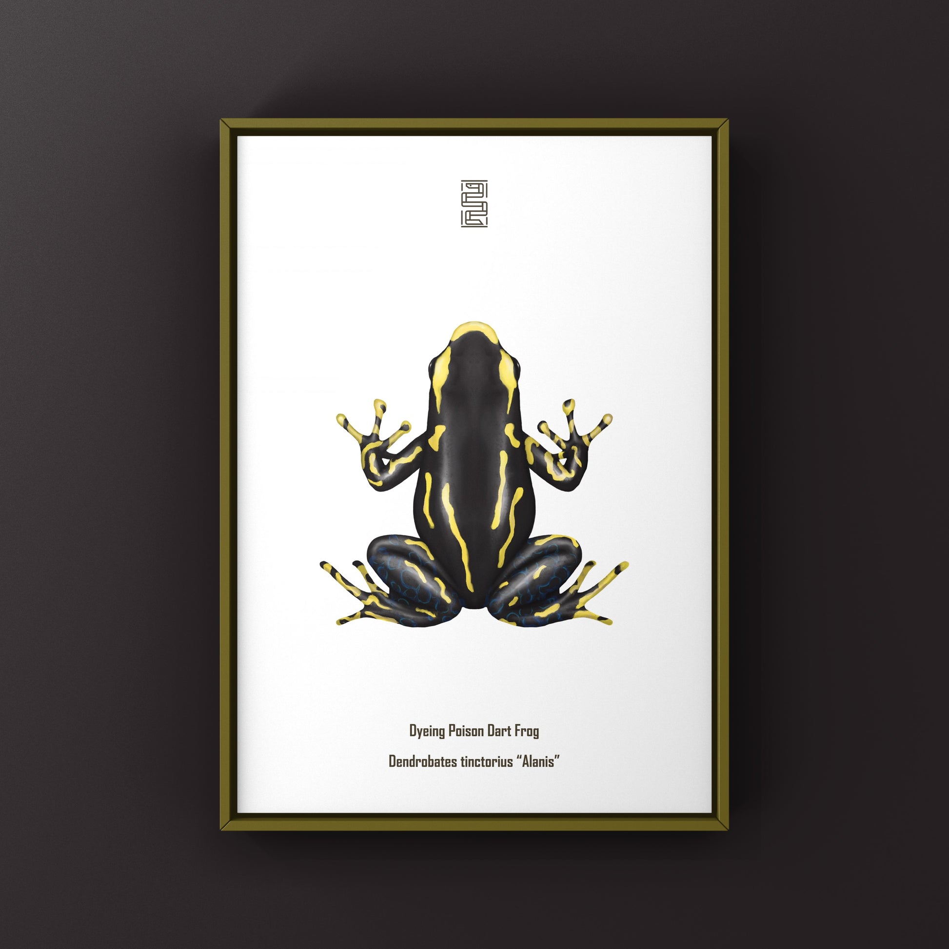 Alanis Dyeing Poison Dart Frog (Dendrobates tinctorius) Art Print from The Silk Ranch