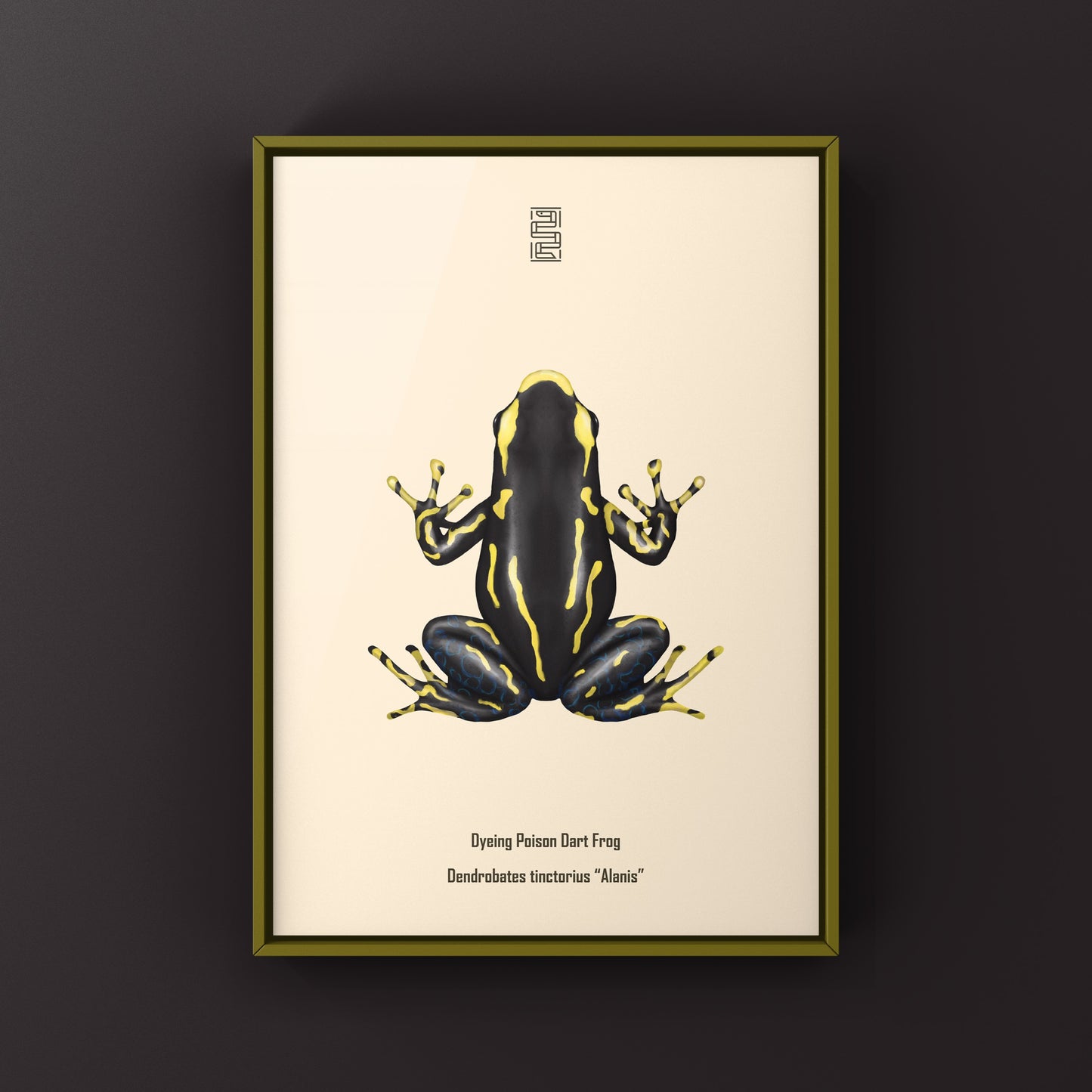 Alanis Dyeing Poison Dart Frog (Dendrobates tinctorius) Art Print from The Silk Ranch