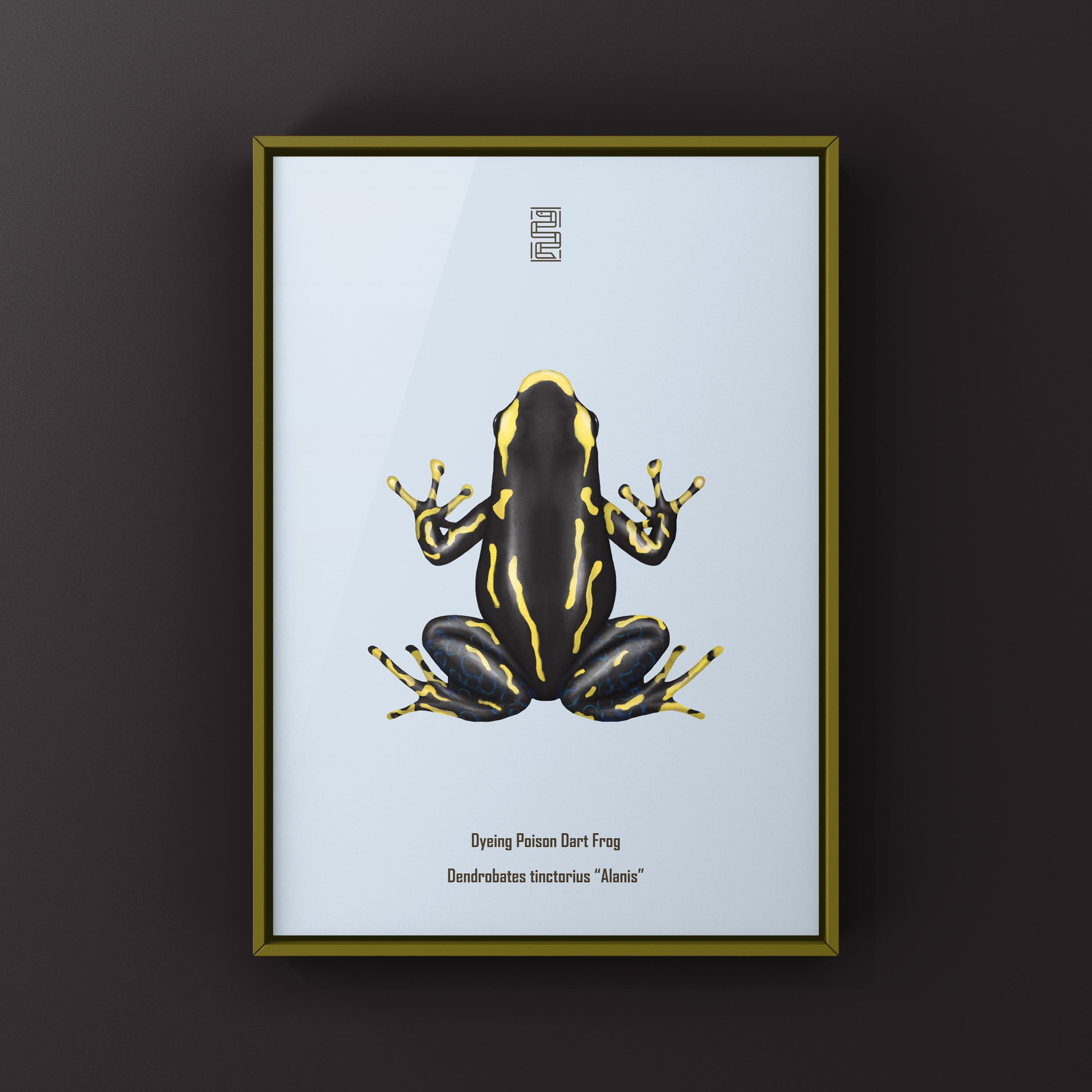 Alanis Dyeing Poison Dart Frog (Dendrobates tinctorius) Art Print