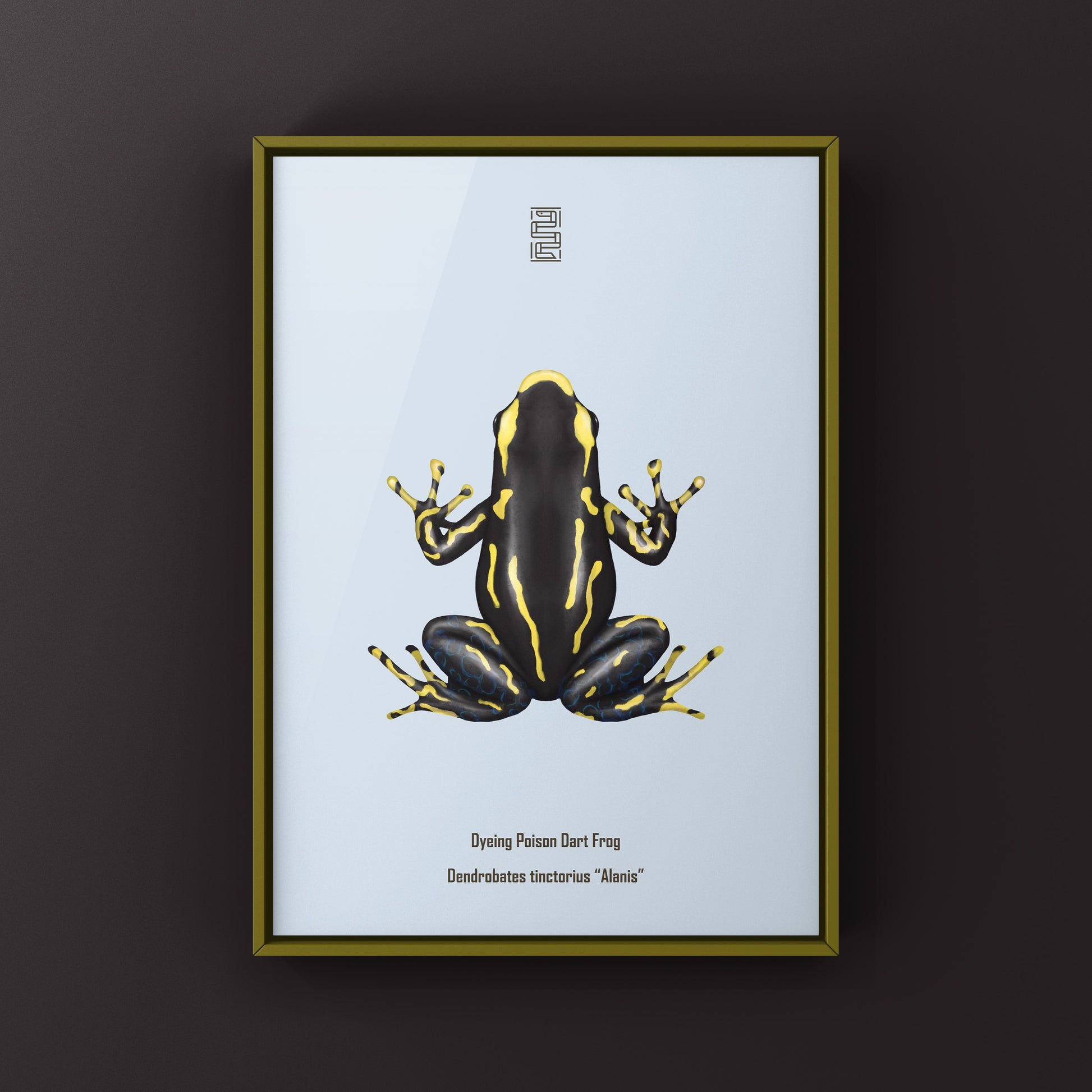 Alanis Dyeing Poison Dart Frog (Dendrobates tinctorius) Art Print from The Silk Ranch