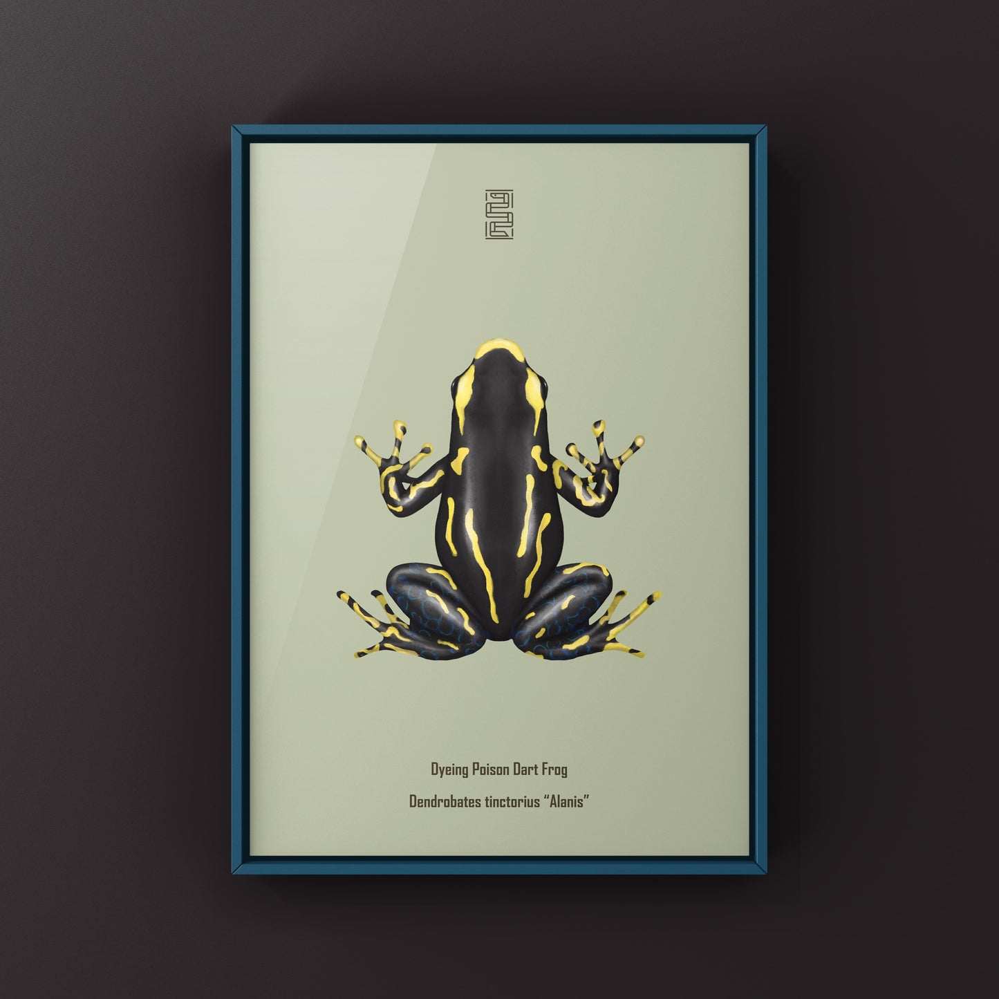 Alanis Dyeing Poison Dart Frog (Dendrobates tinctorius) Art Print from The Silk Ranch