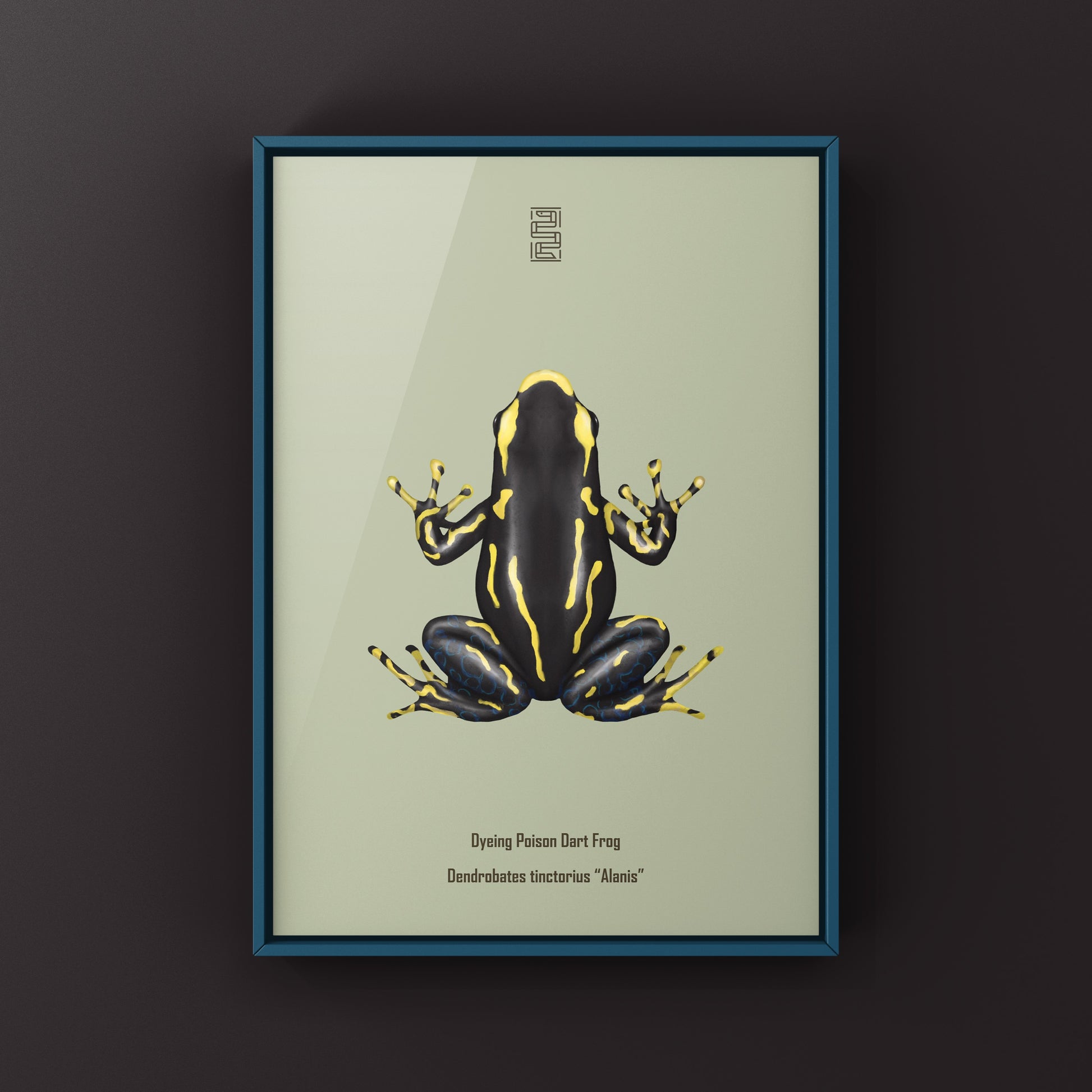 Alanis Dyeing Poison Dart Frog (Dendrobates tinctorius) Art Print from The Silk Ranch