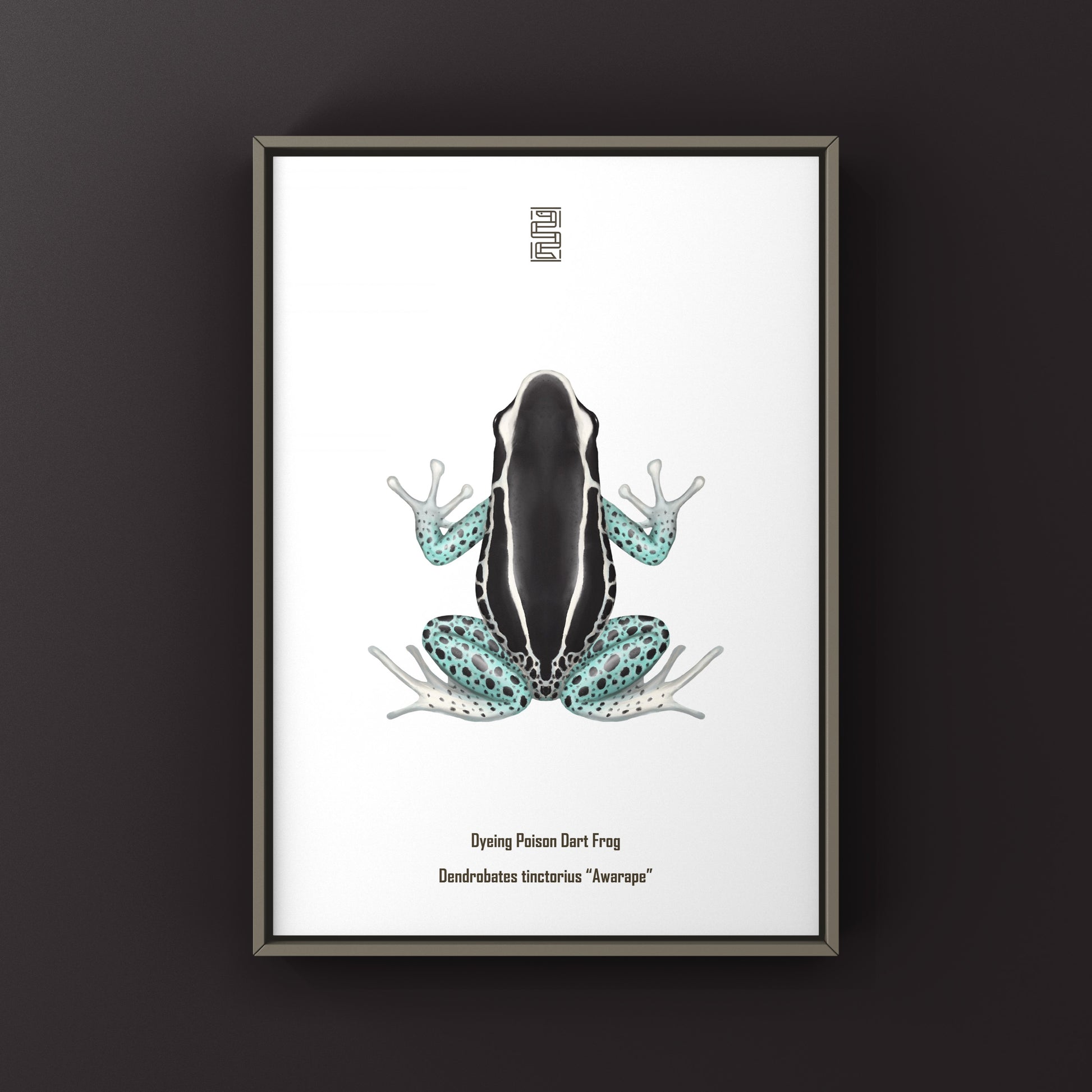 Awarape Dyeing Poison Dart Frog (Dendrobates tinctorius) Art Print from The Silk Ranch