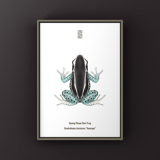 Awarape Dyeing Poison Dart Frog (Dendrobates tinctorius) Art Print from The Silk Ranch