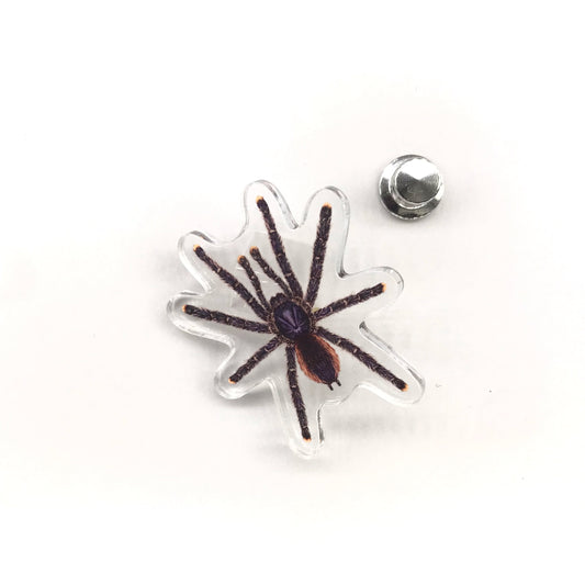 Peruvian Pinktoe Tarantula (Avicularia juruensis) Acrylic Pin from The Silk Ranch / The Morph Archive