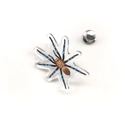 Acrylic pin featuring the Bornean Neon Blue Leg Tarantula (Birupes simoroxigorum) with vibrant blue legs, from The Silk Ranch/The Morph Archive.