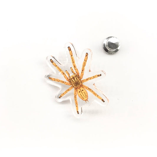 Orange Baboon Tarantula (Pterinochilus murinus) Acrylic Pin from The Silk Ranch / The Morph Archive