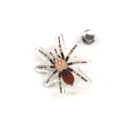 Acrylic pin of Brazilian Red and White Tarantula (Vitalius chromatus) featuring detailed artwork in red, white, and black.
