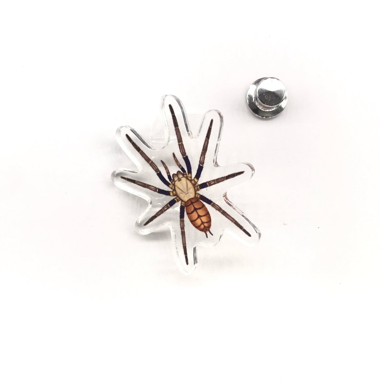 Indian Violet Tarantula acrylic pin featuring colorful illustration of Chilobrachys fimbriatus on a black background.