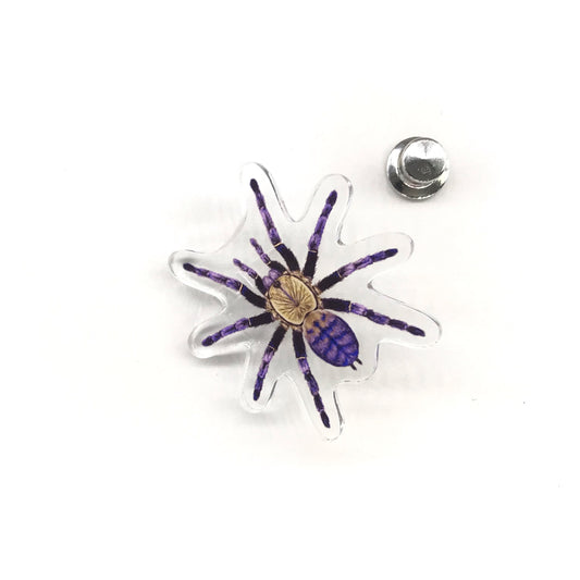 Purple Earth Tiger Tarantula (Phormingochilus sp. Hati Hati) Acrylic Pin from The Silk Ranch / The Morph Archive