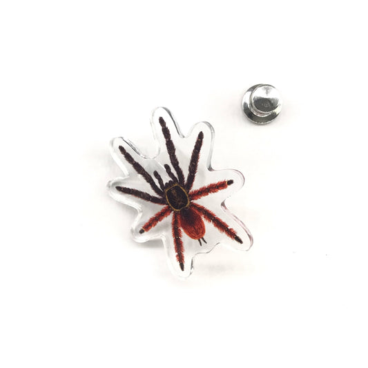 Darth Maul Tarantula (Psalmopoeus victori) Acrylic Pin from The Silk Ranch / The Morph Archive