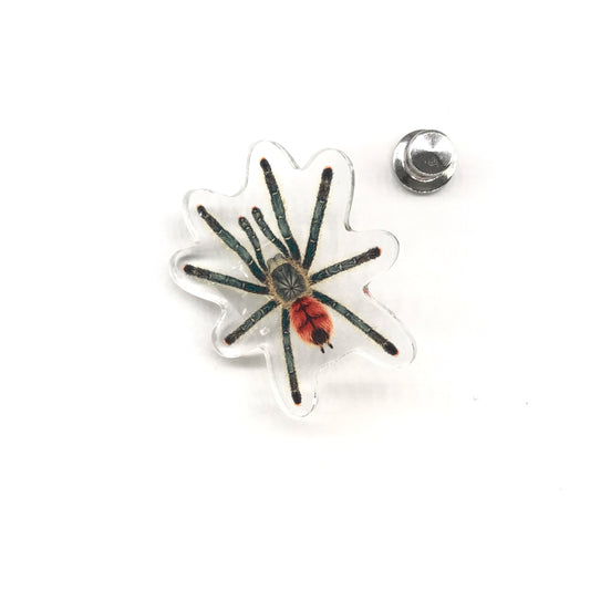 Grizzly Pinktoe Tarantula (Avicularia variegata) Acrylic Pin from The Silk Ranch / The Morph Archive