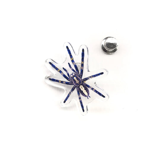 Gooty Sapphire Tarantula (Poecilotheria metallica) Acrylic Pin from The Silk Ranch / The Morph Archive