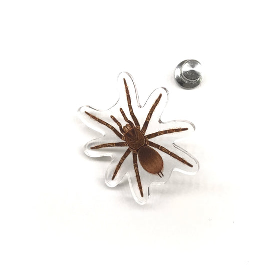 Burgundy Goliath Birdeater tarantula acrylic pin featuring detailed illustration of Theraphosa stirmi, from The Silk Ranch.