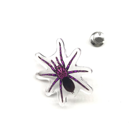 Purple Bloom Tarantula (Pamphobeteus sp. Machala) Acrylic Pin from The Silk Ranch / The Morph Archive