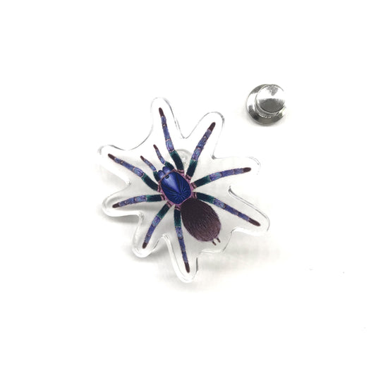 Goliath Blue Birdeater Tarantula (Phormictopus sp. Blue Azul) Acrylic Pin from The Silk Ranch / The Morph Archive
