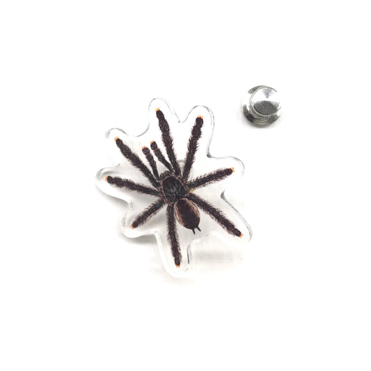 Guyana Pinktoe Tarantula (Avicularia avicularia) Acrylic Pin from The Silk Ranch / The Morph Archive