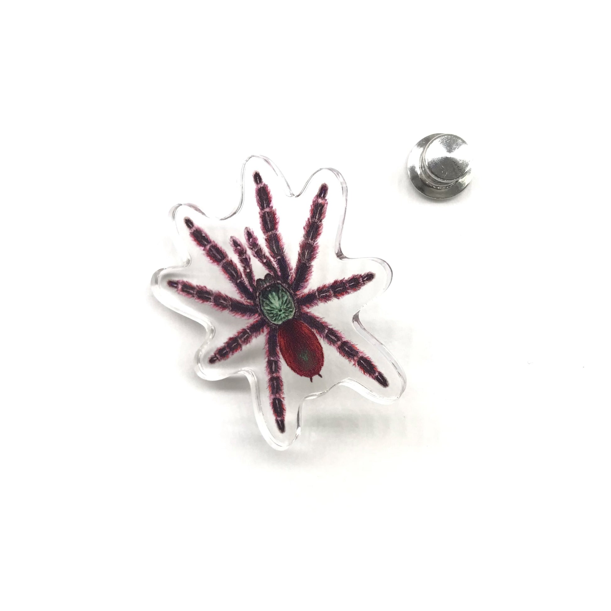 Pinktoe Tarantula acrylic pin featuring the Antilles Pinktoe Tarantula (Caribena versicolor) with detailed colorful arachnid design.
