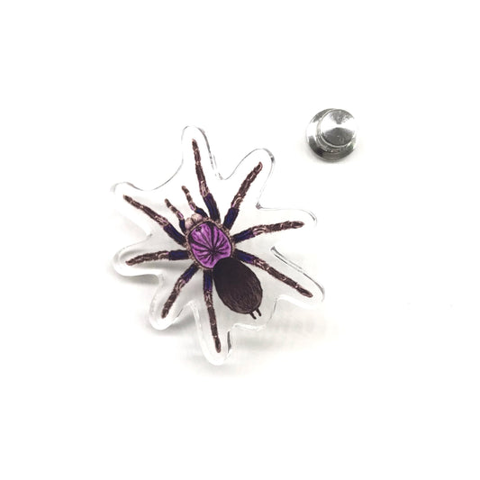 Dominican Purple Tarantula (Phormictopus sp. Dominican Purple) Acrylic Pin from The Silk Ranch / The Morph Archive